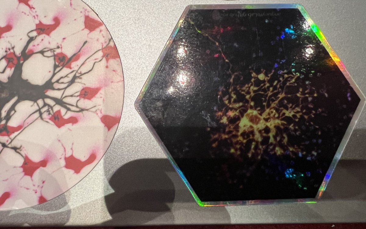 Juanonyme's tweet photo. There’s a new sticker for #GRCVisualSystems 2024 with a cool Gerbil Horizontal Cell (shoutout to @CarasLab for providing tissue). Just talk to me and ask for one. https://t.co/MIflC68y3L