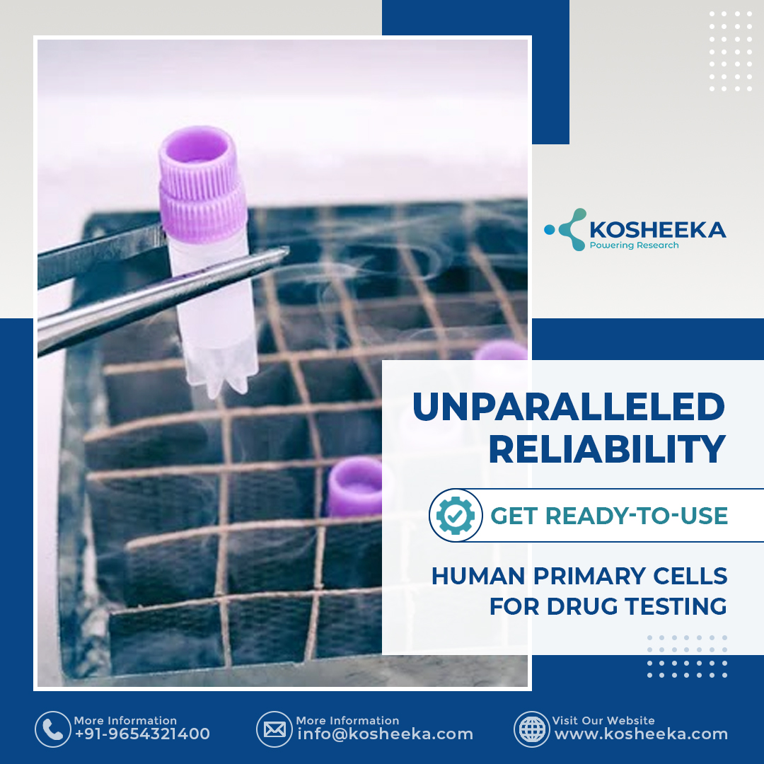 Are you struggling with unreliable #drugtesting results? 

It's time to take advantage of ready-to-use human #primarycells with greater than 90% viability. 

Get faster, more accurate results for your #drugdevelopment pipeline without worrying about the source of the cells.