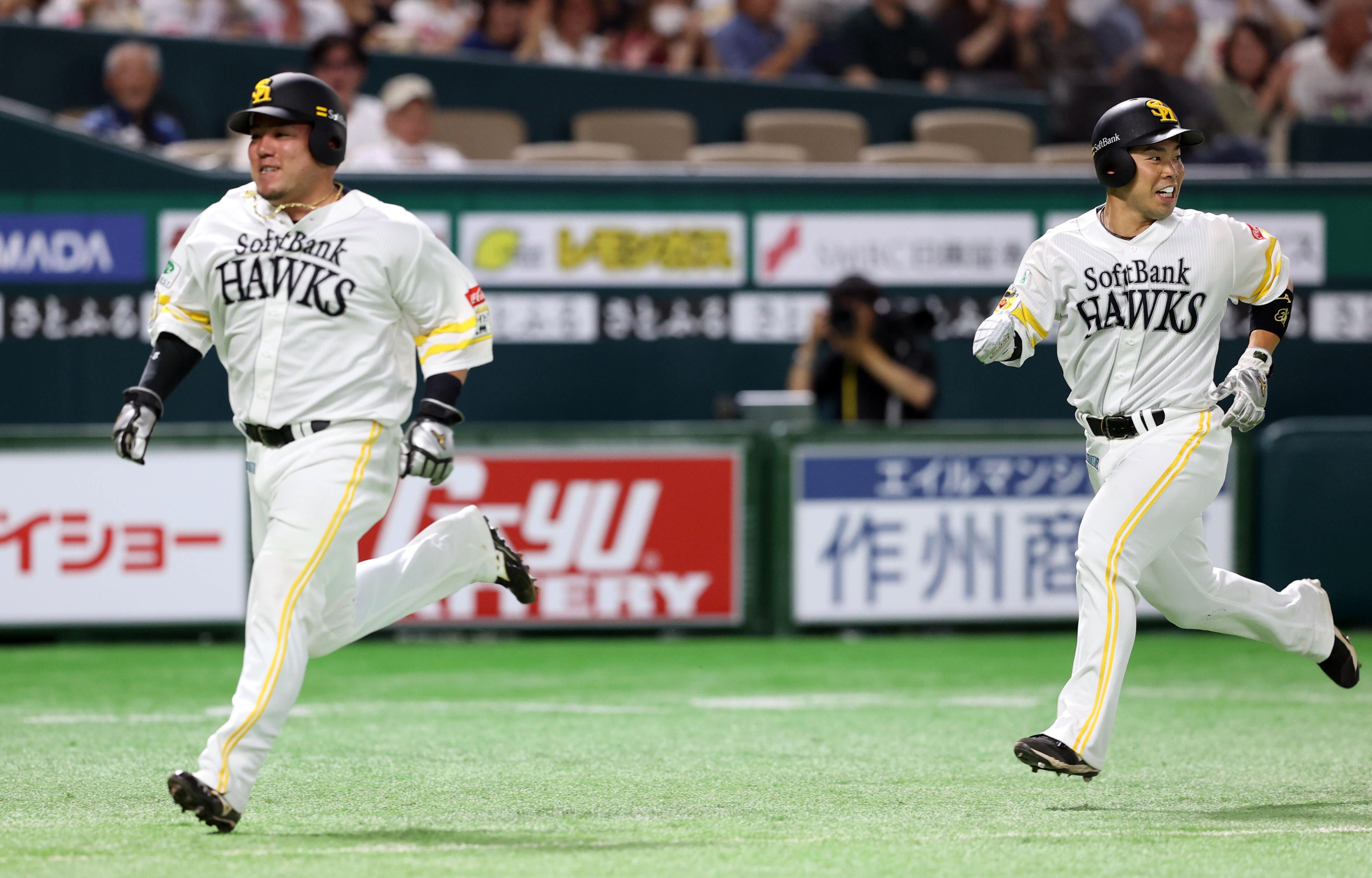 西山宏太朗 | Lantis web site