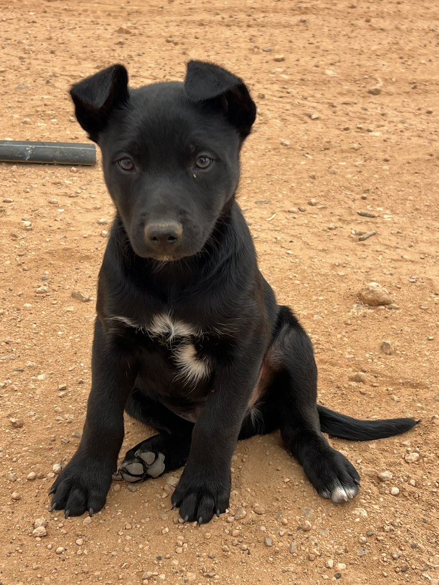 Kane Murphy tweet media