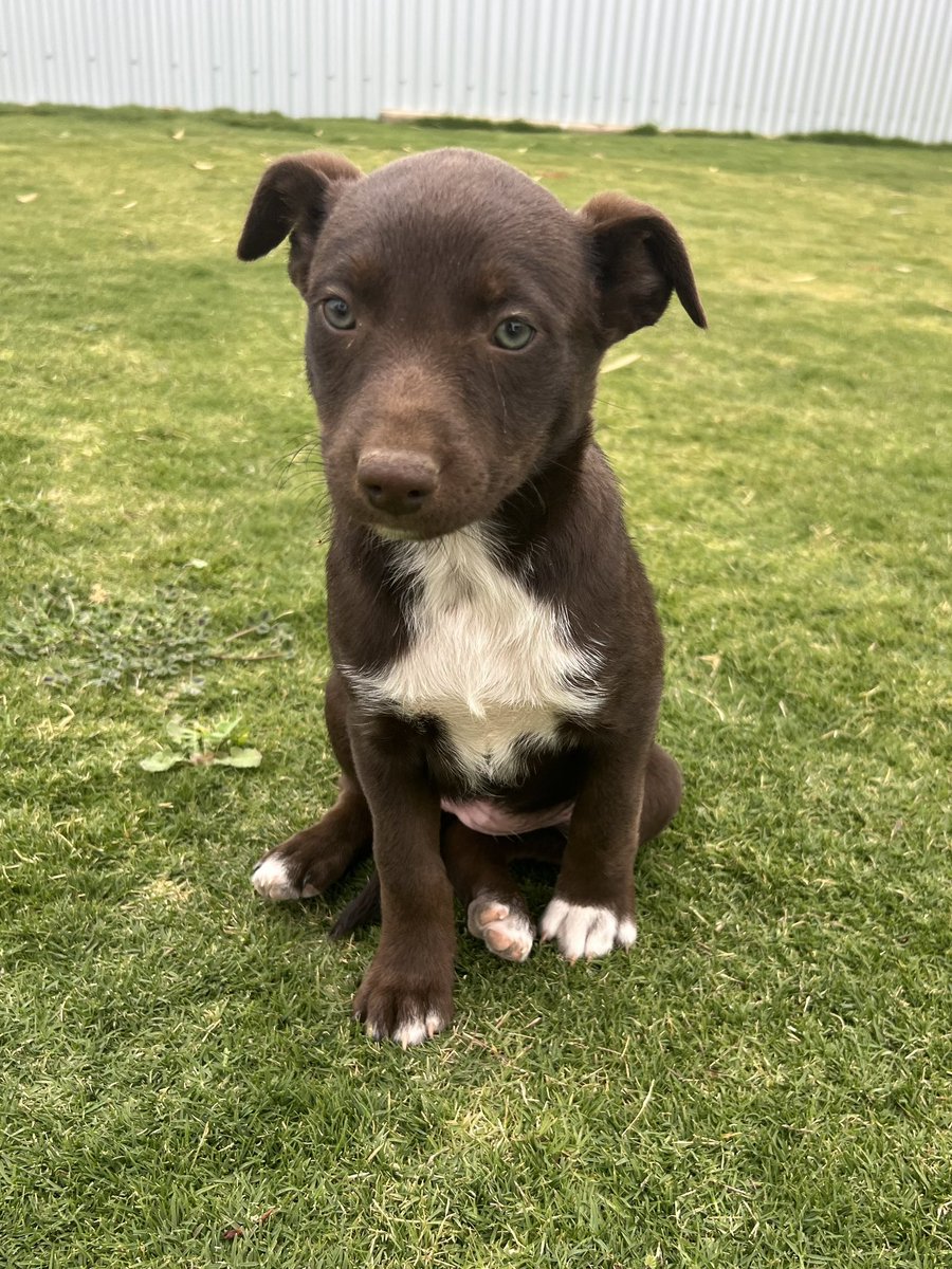 Kane Murphy tweet media