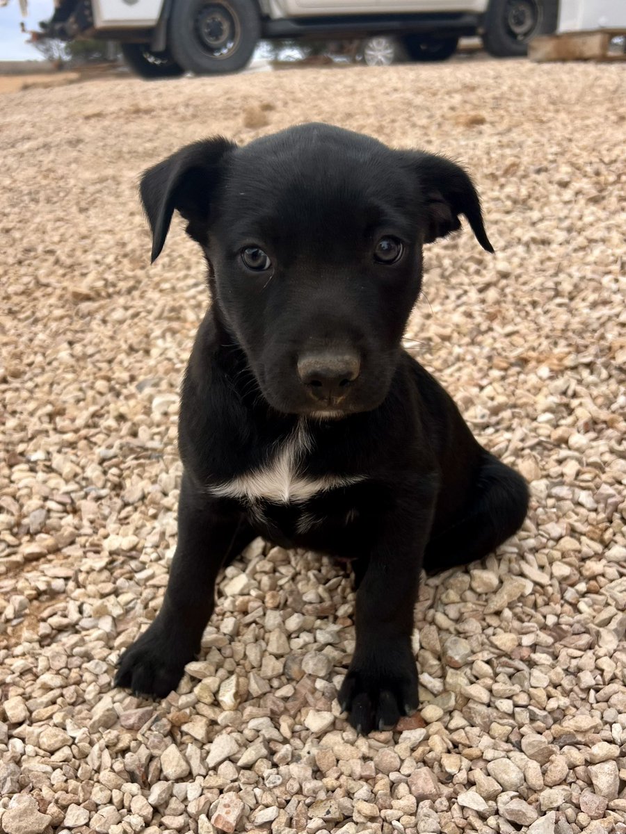 Kane Murphy tweet media