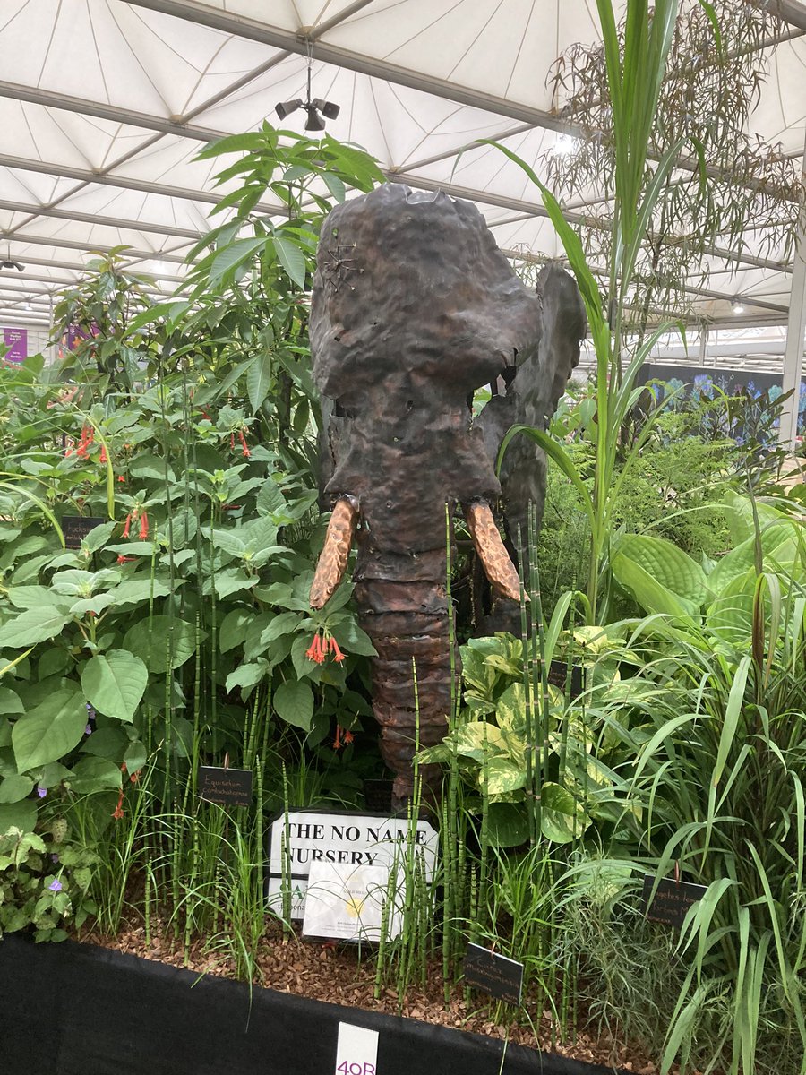 Steven Edney tweet media