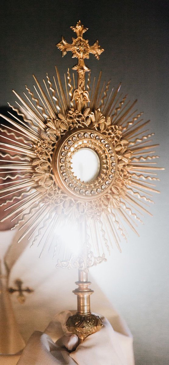“Always remain close to the Catholic Church, because it alone can give you true peace, since it alone possesses Jesus in the Blessed Sacrament, the true Prince of Peace.” - Saint Padre Pio