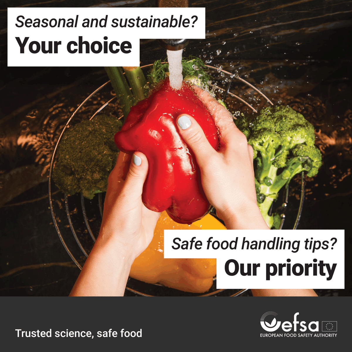 🏠 A healthy diet isn't just about the ingredients – it's about good food hygiene too! Cleanliness, proper storage, thorough cooking & safe temperatures are a must.
No matter your food choices, remember it's #Safe2EatEU:
efsa.europa.eu/en/safe2eat/pr…