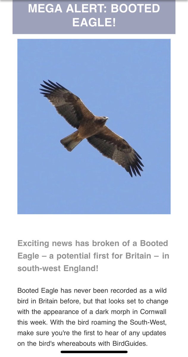 Just received this email from@birdguides. Click on the full headline spread. Twitchers of a certain age who were there on the Penwith Peninsula in autumn 1999 will dispute this statement.