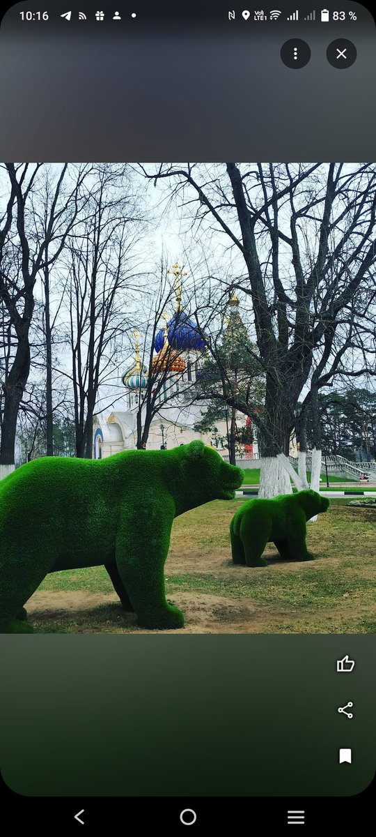 Alisa_Igra's tweet photo. За 400k можно организовать красивую беседку с вечнозелёными растениями вокруг... Ва�� не кажется странным, что до сих пор мы делаем выбор в пользу скульптур топиари?  Художественная ценность - ну такое, дети поиграть не могут, кислород не выделяют, пластик перегнивает 500 лет. https://t.co/pfG8afqRil