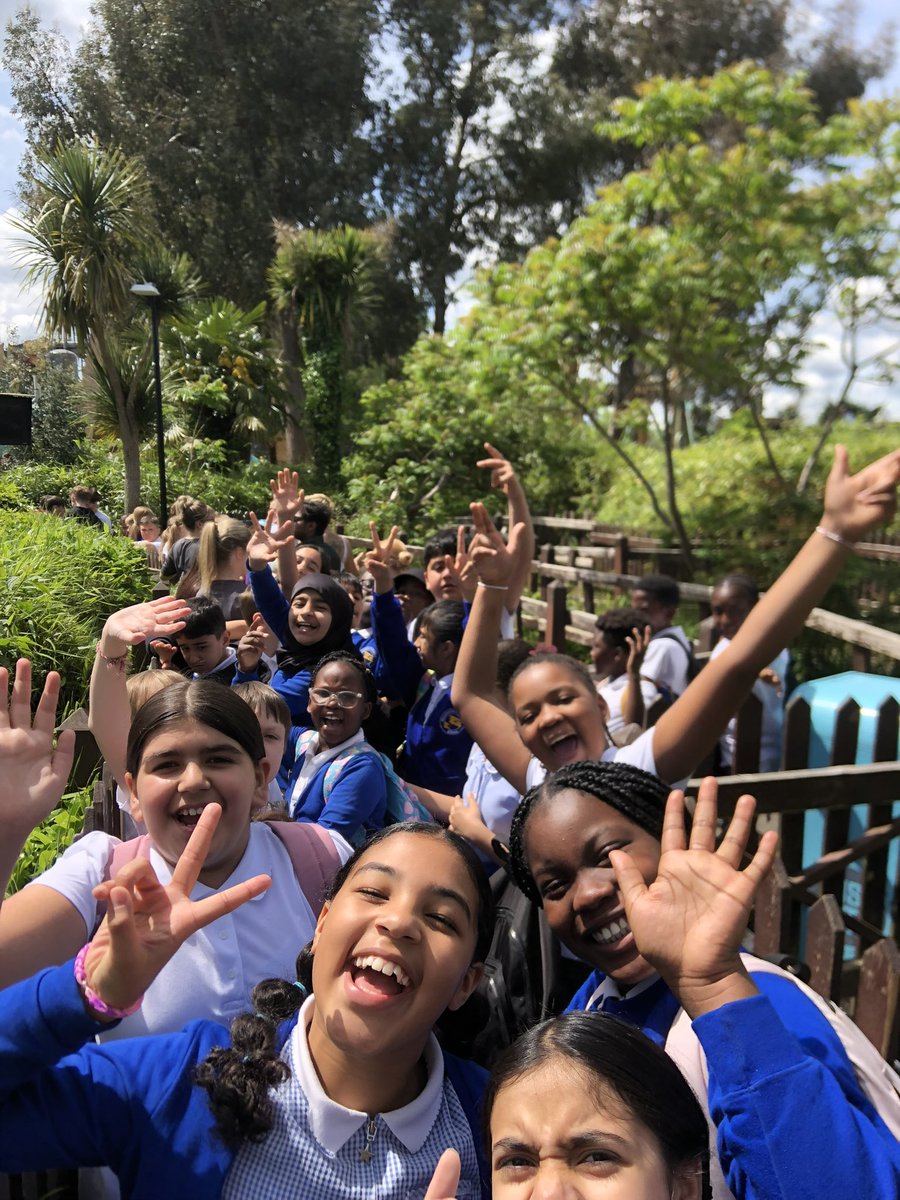 Mandeville School tweet media