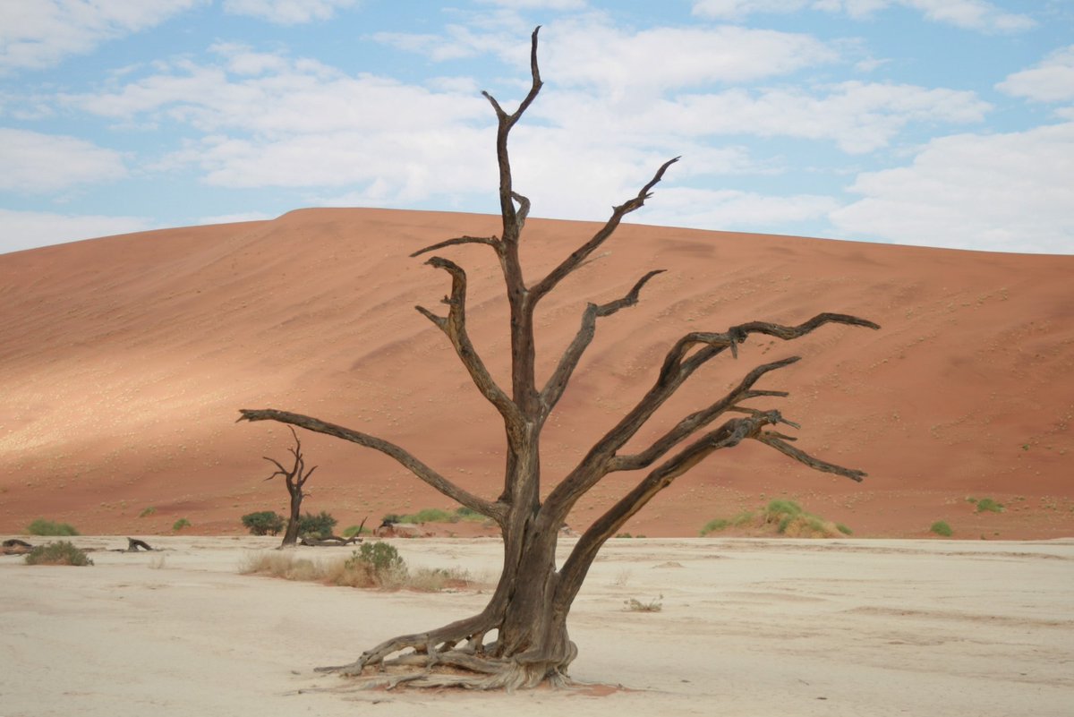 Ditmaal het thema #bomen bij #mei_nmooistefotos. Gekozen voor de kameeldoornbomen in #Deadvlei #Namibia. Immiddels al dik 16 jaar geleden maar nog steeds on top of mind zo surrealistisch.