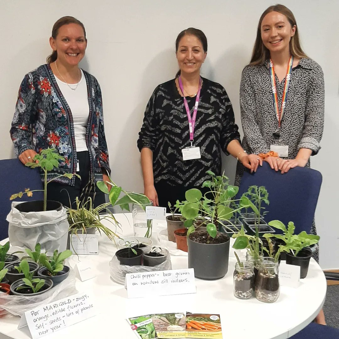 The great Dean of Students plant swap is on! Note the use of recycled pots, glass jars and even scrap paper for signs @UHSustainable! We are happy participants! 💚 🪴💚 @UniofHerts