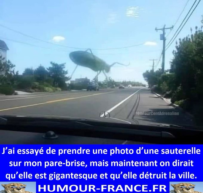 text alternatif
