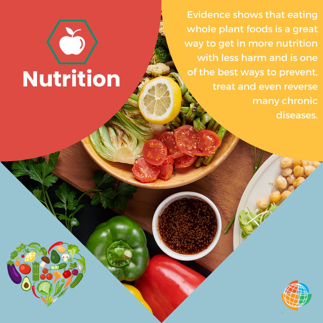 🥗 How do you add healthy nutrition to your daily diet? Good nutrition is key to a healthy life. Share your tips and favorite recipes during #LMWeek2024! 🍏

🌿✨  #LMweek #LifeMedGlobal #LifestyleMedicine #NutritionMatters