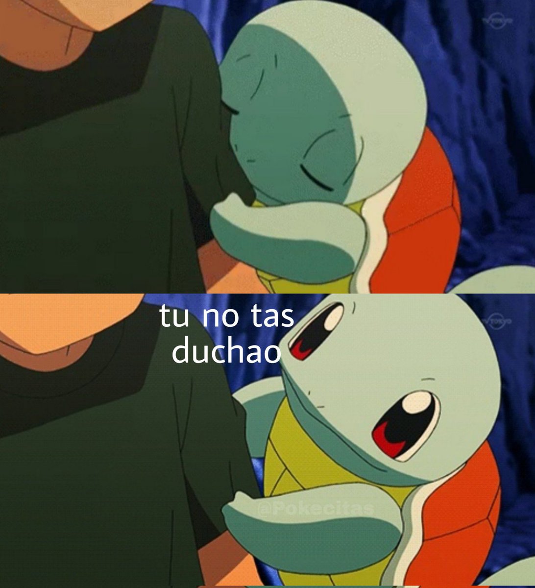 Memes Pokémon (@pokecitas) on Twitter photo 