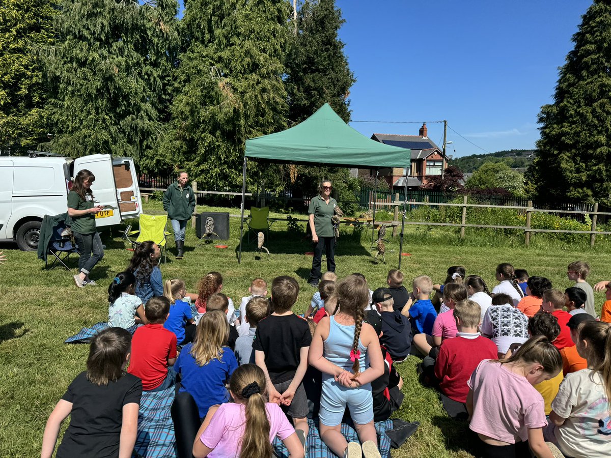 Next activity - the owl sanctuary we have, a fascinating talk about the owls we can find around the UK