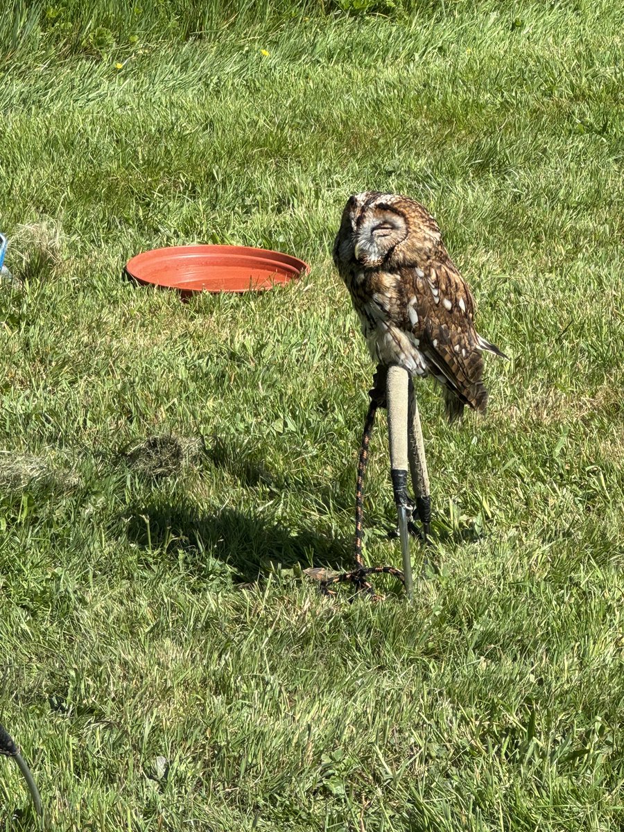 Miss Davies & Mrs Field tweet media