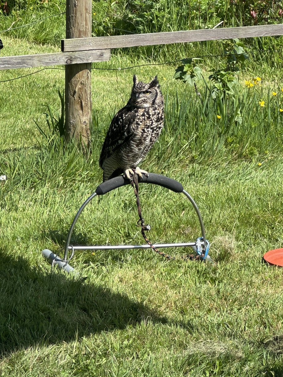 Miss Davies & Mrs Field tweet media