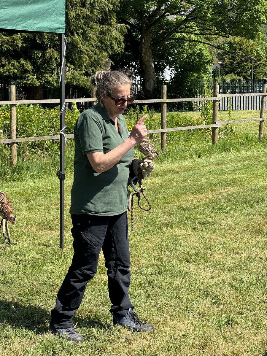 List of amazing birds on display we have learned so much about owls this morning 🦉