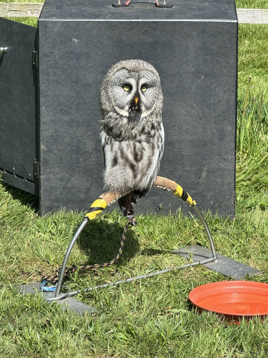 Miss Davies & Mrs Field tweet media