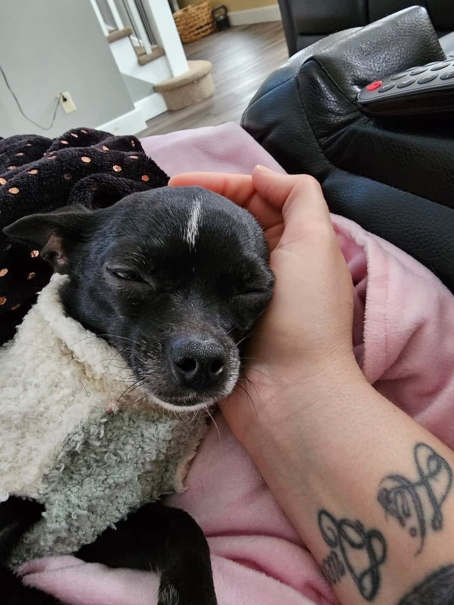 I'm very sick🥺 everybody pray for me🥺