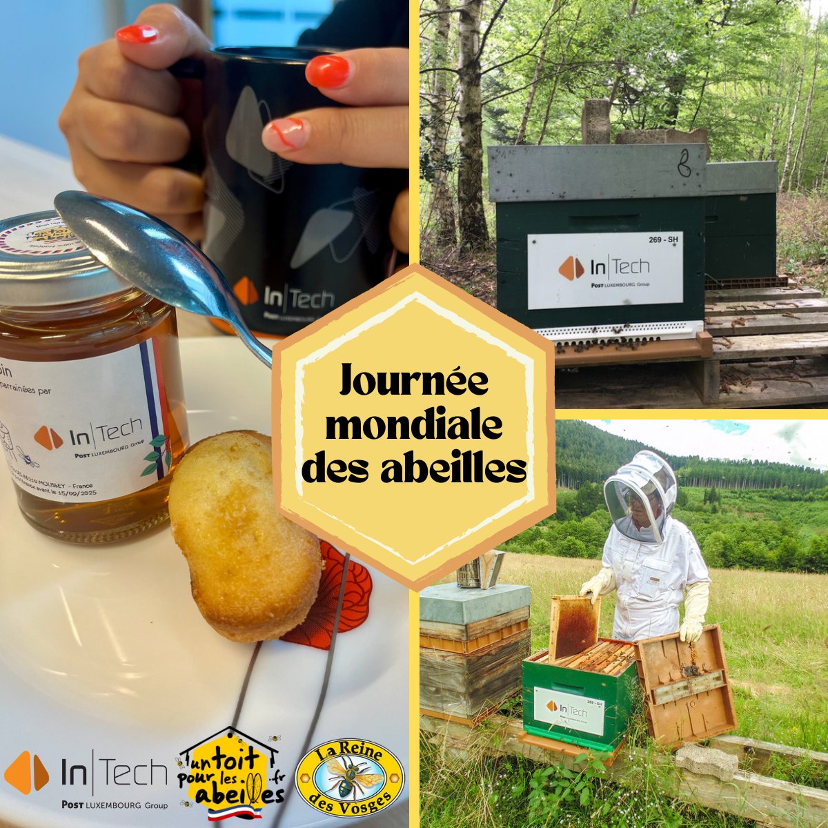 intech_lux's tweet photo. [20 mai - Journée mondiale des #abeilles 🐝]

Depuis 2016, nous parrainons des ruches "Le #Rucher - #LaReinedesVosges " avec #UnToitPourLesAbeilles @1tpla .
Actuellement, nous soutenons 2 #ruches abritant 80,000 abeilles ! 🌻🐝

Ensemble, préservons notre biodiversité ! 🌼💚 https://t.co/oC9zvECUVr