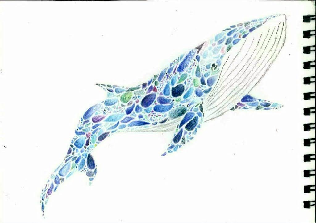 色鉛筆でちまちま描いてます。
#クジラ　#かめ　#色鉛筆　#イラスト
#青　#紫　#緑
#絵描きさんと繋がりたい
#アナログ絵描きさんと繋がりたい
#イラスト好きな人と繋がりたい
#フォロワー１万以下の神絵師発掘したい
#初夏の創作クラスタフォロー祭り
#絵柄が好みって人にフォローされたい