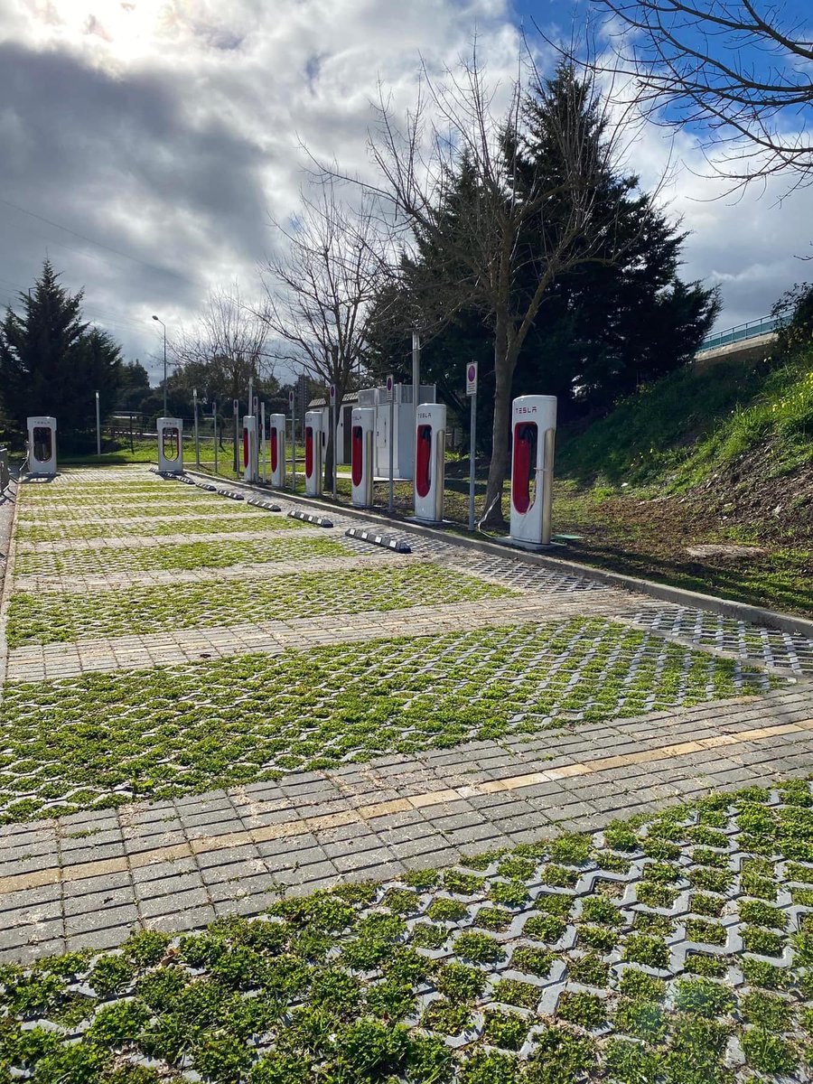 Richard Santos Lopes tweet media