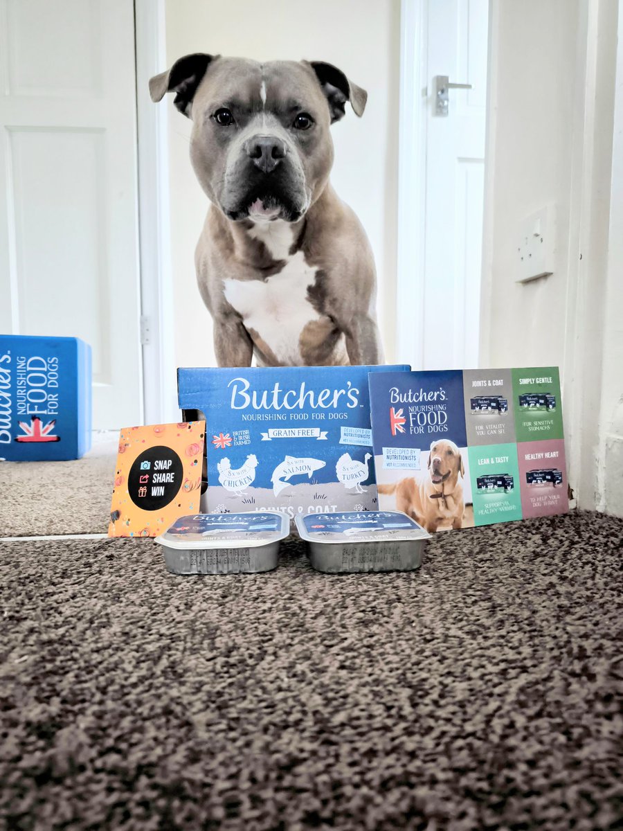 neraknettel's tweet photo. Dempsy loved his first Triyit box #triyit #gifted #butchersdogfood https://t.co/R3w1tNaFJG