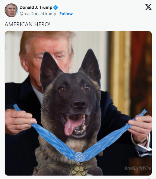 Conan The Hero tweet media