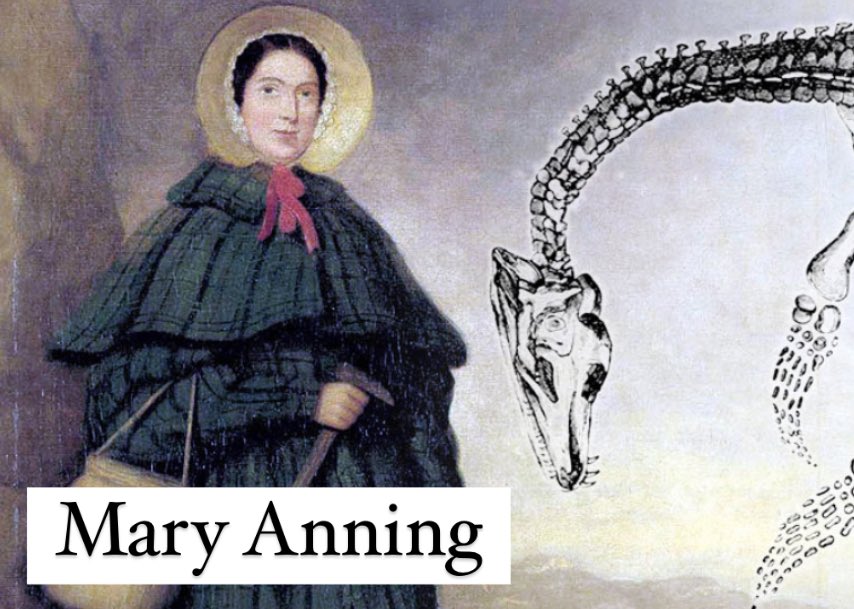 Today in HERstory 1799 – Mary Anning was born. She was a fossil collector and self-taught paleontologist, who made a number of important finds. Beginning in childhood she made money by finding fossils, often risking her life. Once she was almost buried in a landslide. #herstory