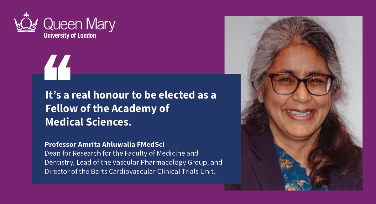 We are delighted that our Professor Amrita Ahluwalia has been elected to the @acmedsci in recognition of her outstanding work in vascular pharmacology. Many congratulations, Amrita! Read more about her work here: qmul.ac.uk/media/news/202…