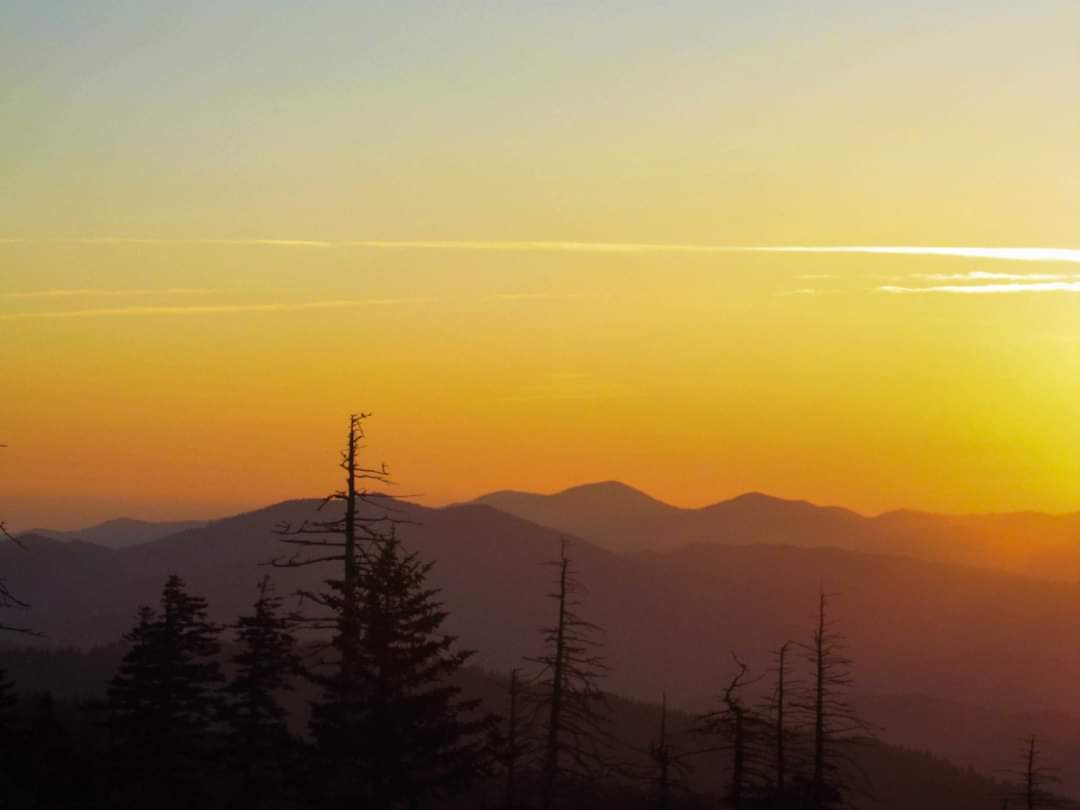 Good morning from here in the beautiful Smoky Mountains. Hope everyone has a terrific Tuesday. Let's grab our coffee and get the day started. Please remember to keep @mellylovesvols in your prayers, and as always, remember to check on your people.