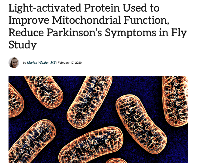 Normally, mitochondria create ATP using energy stored in the chemical bonds that are in the molecules of the food people eat. 

In this study, the researchers created flies that got their energy a different way: from LIGHT

Mitochondria generate ATP by moving hydrogen ions, or