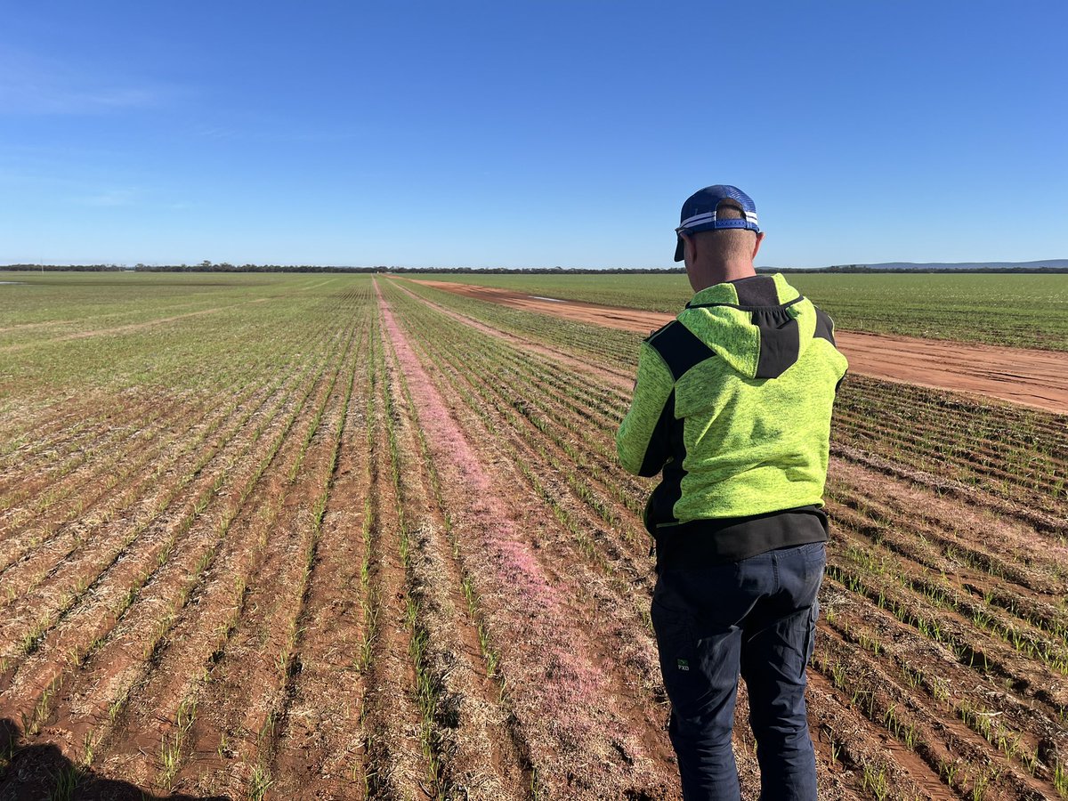 Barry Haskins tweet media