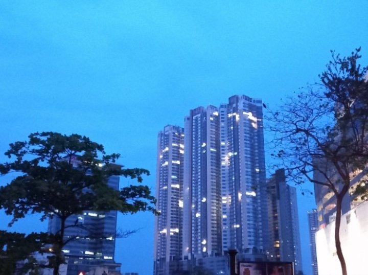 adskPigera's tweet photo. When you are bored at the bus stop, you tend to aim your phone at something so common.

📌 Somewhere around Colombo

#city #buildings #trees https://t.co/jYLdPJVyy0