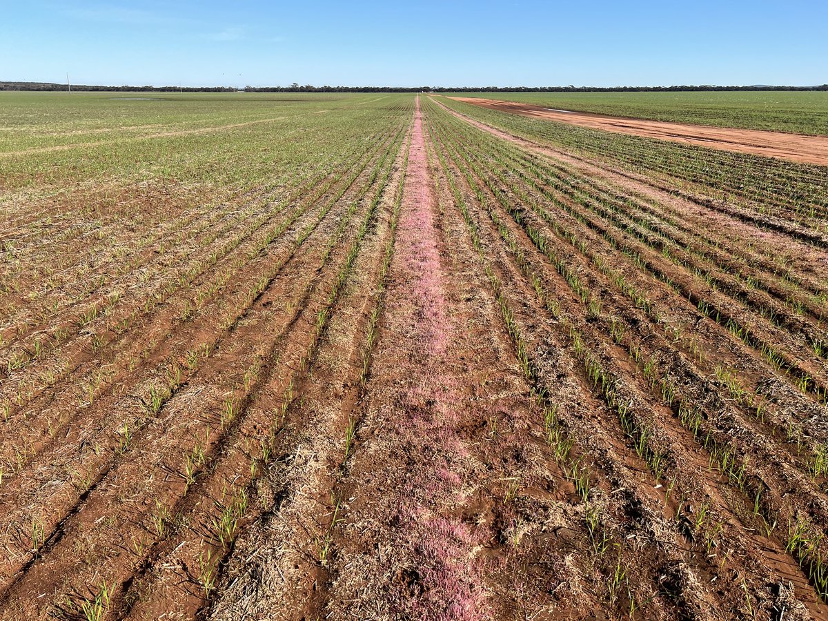 Barry Haskins tweet media