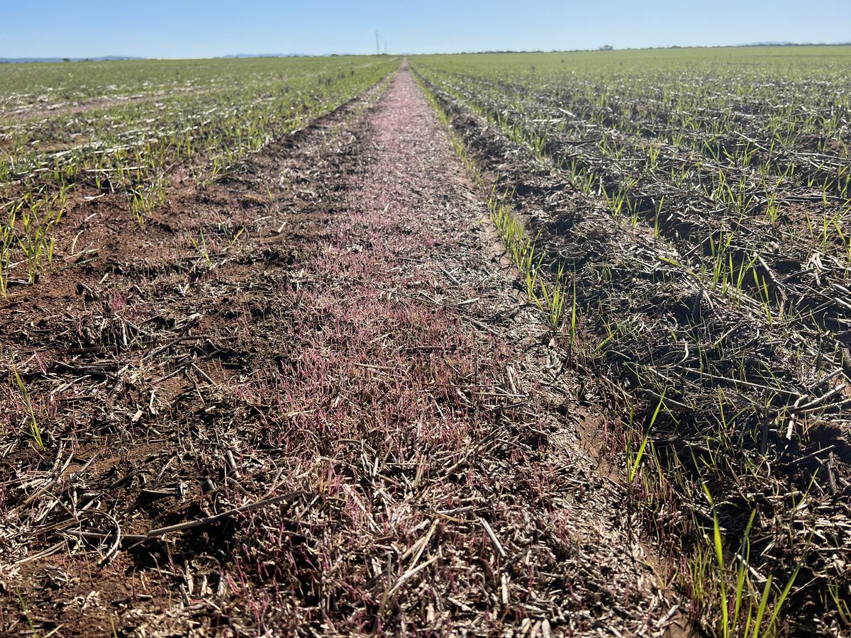 Barry Haskins tweet media