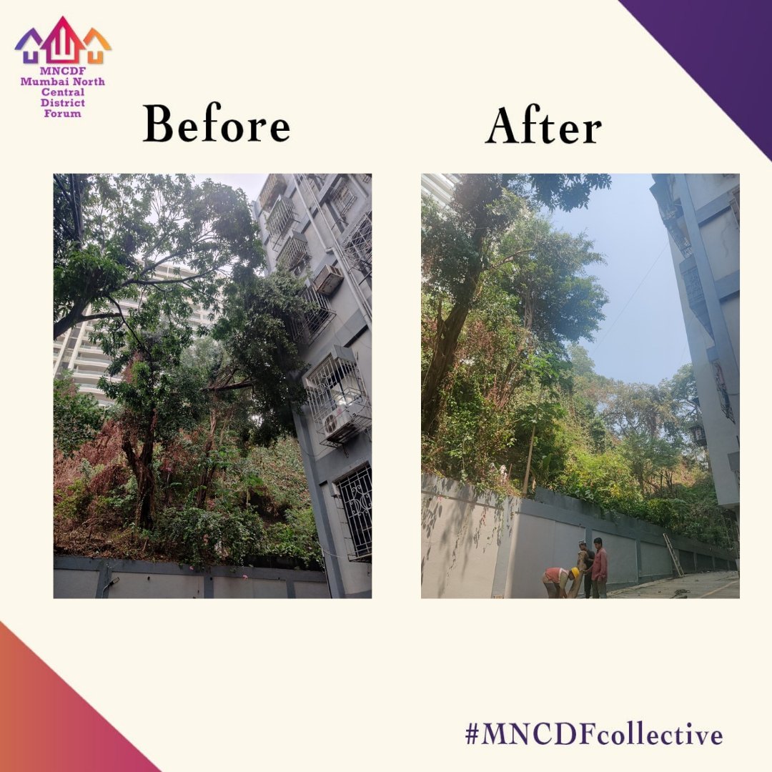 A complaint about a dangerous tree that had fallen onto a building structure during a storm was raised by MNCDF's team. The tree was endangering both the structure and the safety of residents at Dr. Ambedkar Road, Khar West. We appreciate the swift response by @mybmc Headquarters