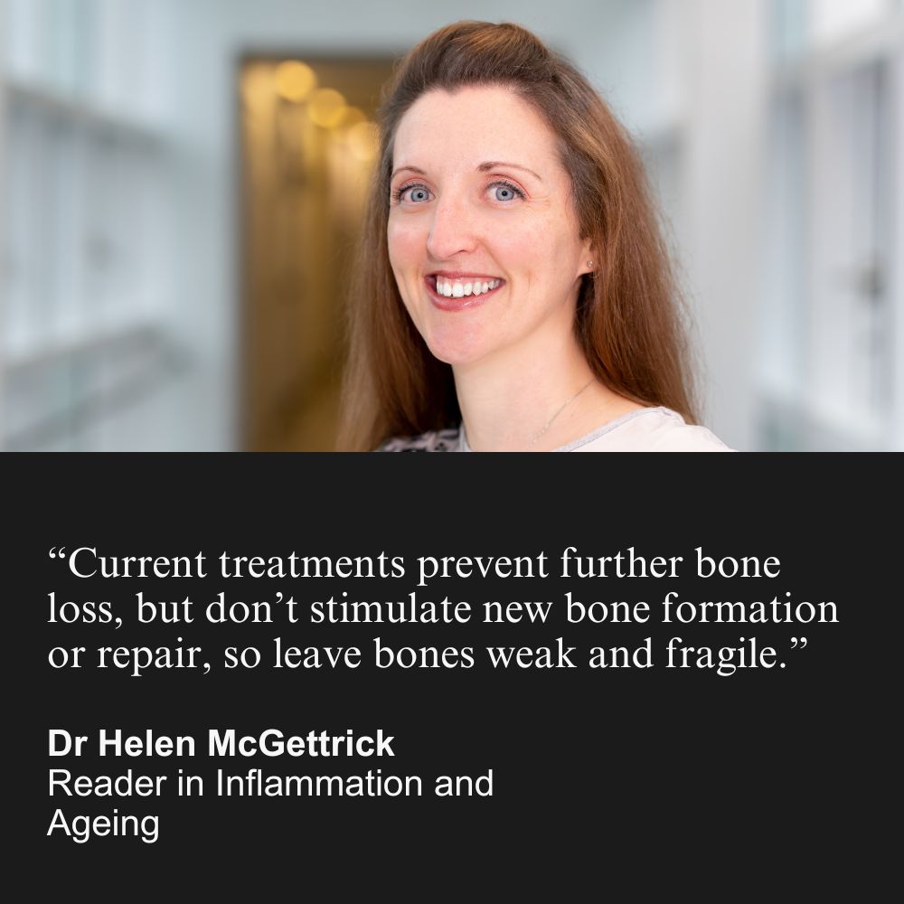 UoB Enterprise (@uobaccelerate) on Twitter photo Naturally occurring peptide PEPITEM holds therapeutic promise for osteoporosis and bone loss
Paper bit.ly/3wIKths
Press release bit.ly/3QPudSQ
<a href="/McGettrickLab/">Helen McGettrick</a> <a href="/VersusArthritis/">Versus Arthritis</a> <a href="/InflamAge_UoB/">Inflammation and Ageing</a> @unibirm_MDS <a href="/BSRAgeing/">British Society for Research on Ageing</a> <a href="/ndorms/">NDORMS</a> <a href="/The_MRC/">Medical Research Council</a> <a href="/DrJamesEd/">James Edwards</a> <a href="/CellRepMed/">Cell Reports Medicine</a> Naturally occurring peptide PEPITEM holds therapeutic promise for osteoporosis and bone loss
Paper bit.ly/3wIKths
Press release bit.ly/3QPudSQ
<a href="/McGettrickLab/">Helen McGettrick</a> <a href="/VersusArthritis/">Versus Arthritis</a> <a href="/InflamAge_UoB/">Inflammation and Ageing</a> @unibirm_MDS <a href="/BSRAgeing/">British Society for Research on Ageing</a> <a href="/ndorms/">NDORMS</a> <a href="/The_MRC/">Medical Research Council</a> <a href="/DrJamesEd/">James Edwards</a> <a href="/CellRepMed/">Cell Reports Medicine</a>