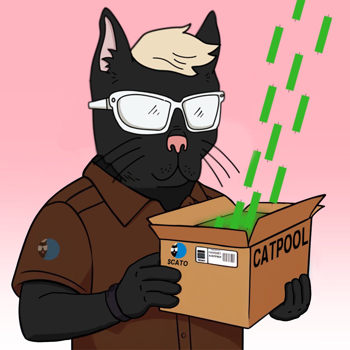 Everyone needs to $CATO harder‼️

Work for your bags or you NGMI