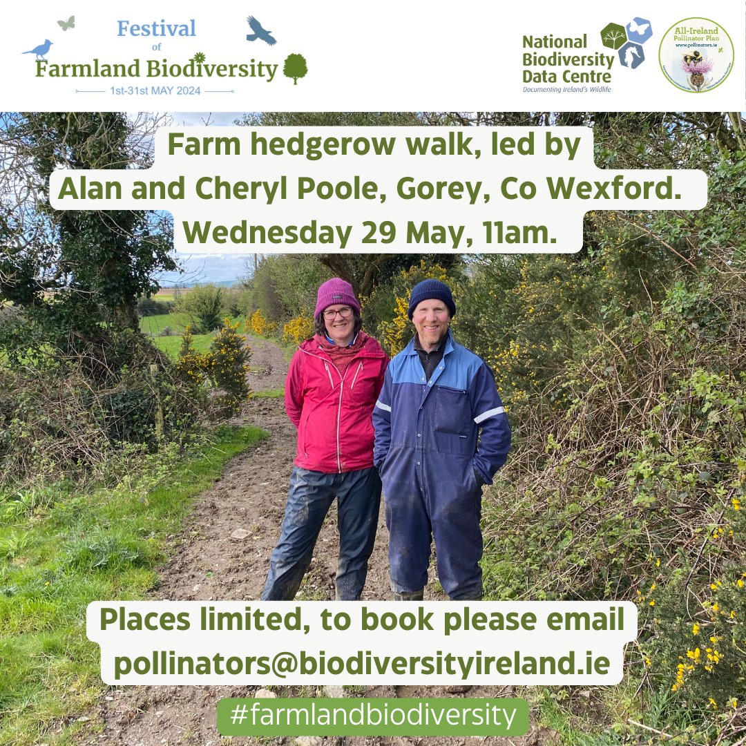 📢Farm hedgerow walk, led by Alan and Cheryl Poole, near Gorey, Co Wexford. See the biodiversity actions and results taken on their dairy farm. Booking is required to attend, as places are limited. To book, email: pollinators@biodiversityireland.ie #farmlandbiodiversity