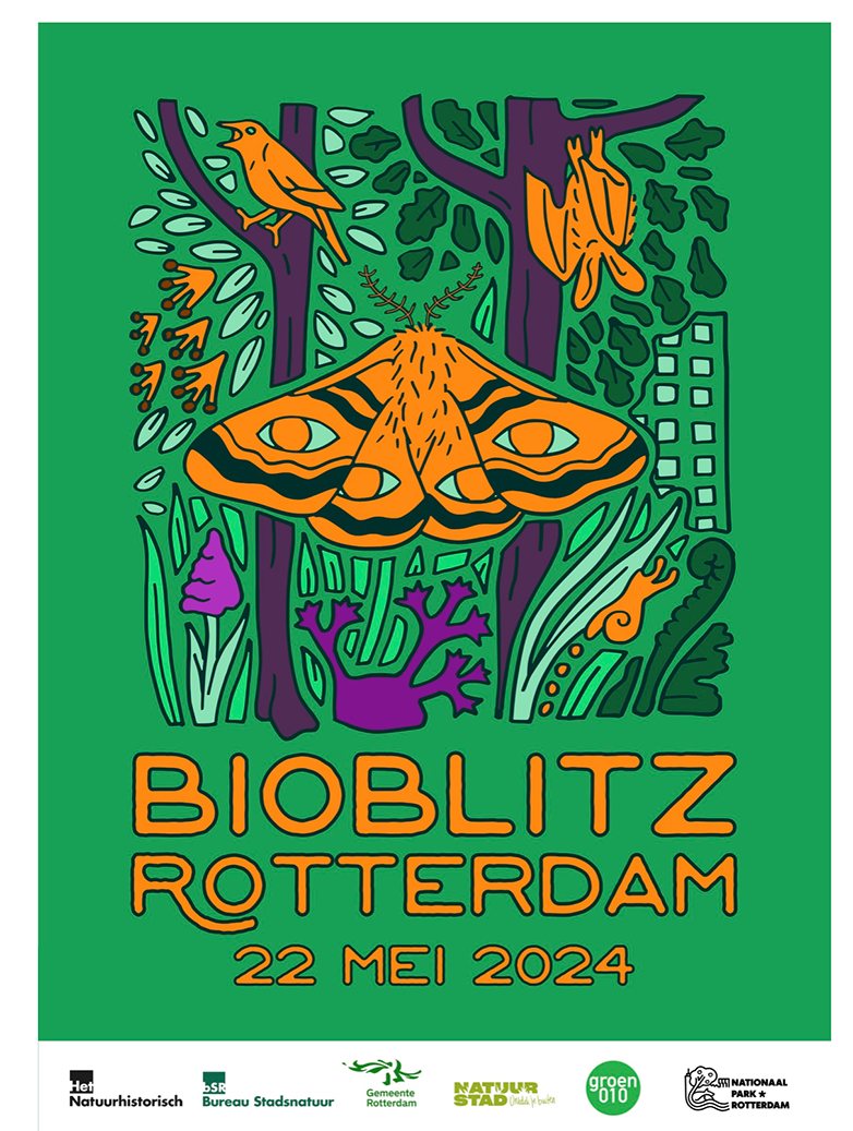 woe. 22 mei: Bioblitz met buren.
Het #Noordereiland doet mee met de internationale dag van de biodiversiteit. 🐝🌻🪿
Van 14.00-15.00 uur. Starten bij de Stuurhut, Burg. Hoffmanplein 30B.
Info op: iedereenaanboord.nu/agenda