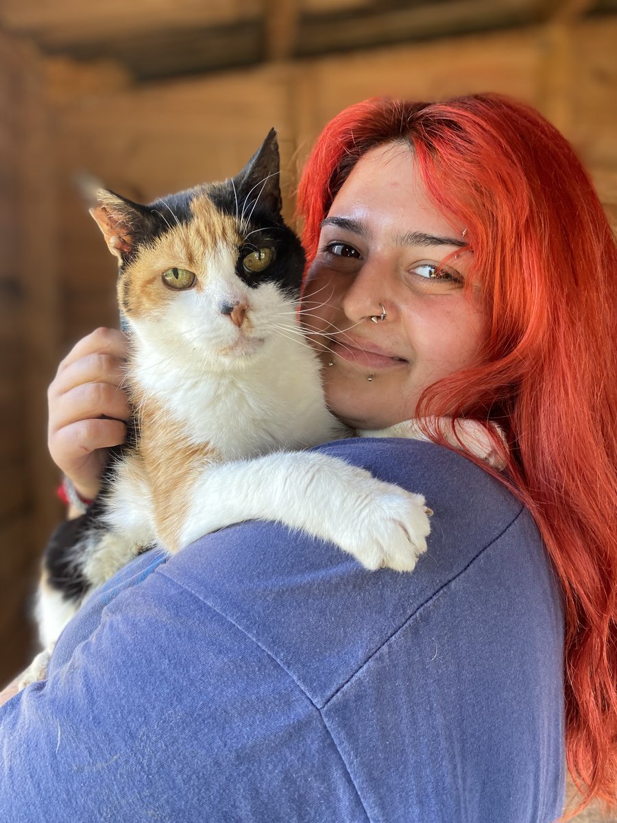 Meet Marissa! We’re continuing our series of interviews with our staff and volunteers so that you can get to know the humans at the sanctuary a little better, so click below to find out all about our wonderful Activities Host/Animal Caregiver, Marissa! hopefield.org.uk/blog/meet-the-…