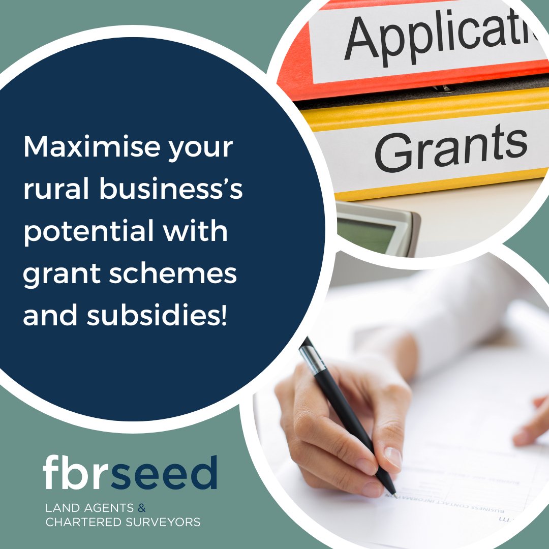 👨‍🌾Maximise your rural business’s potential with grant schemes and subsidies!

At FBR Seed, we offer expert guidance on grant schemes &amp; subsidies, including the Basic Payment Scheme, Agri-Environment Climate Scheme (AECS), and more.