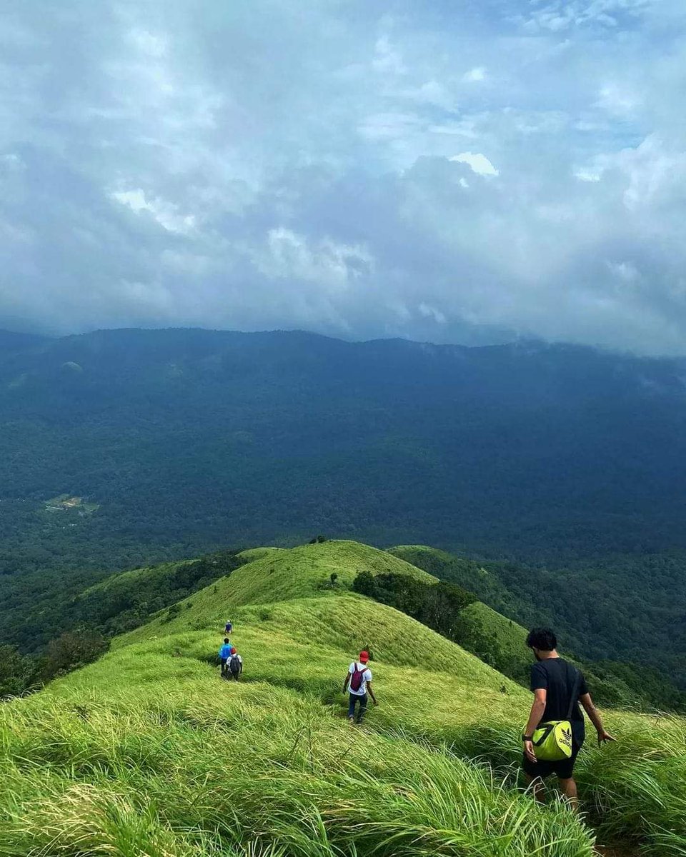 Brahmagiri Hills, Wayanad, Kerala ❤️🇮🇳

📸 | Alvin J