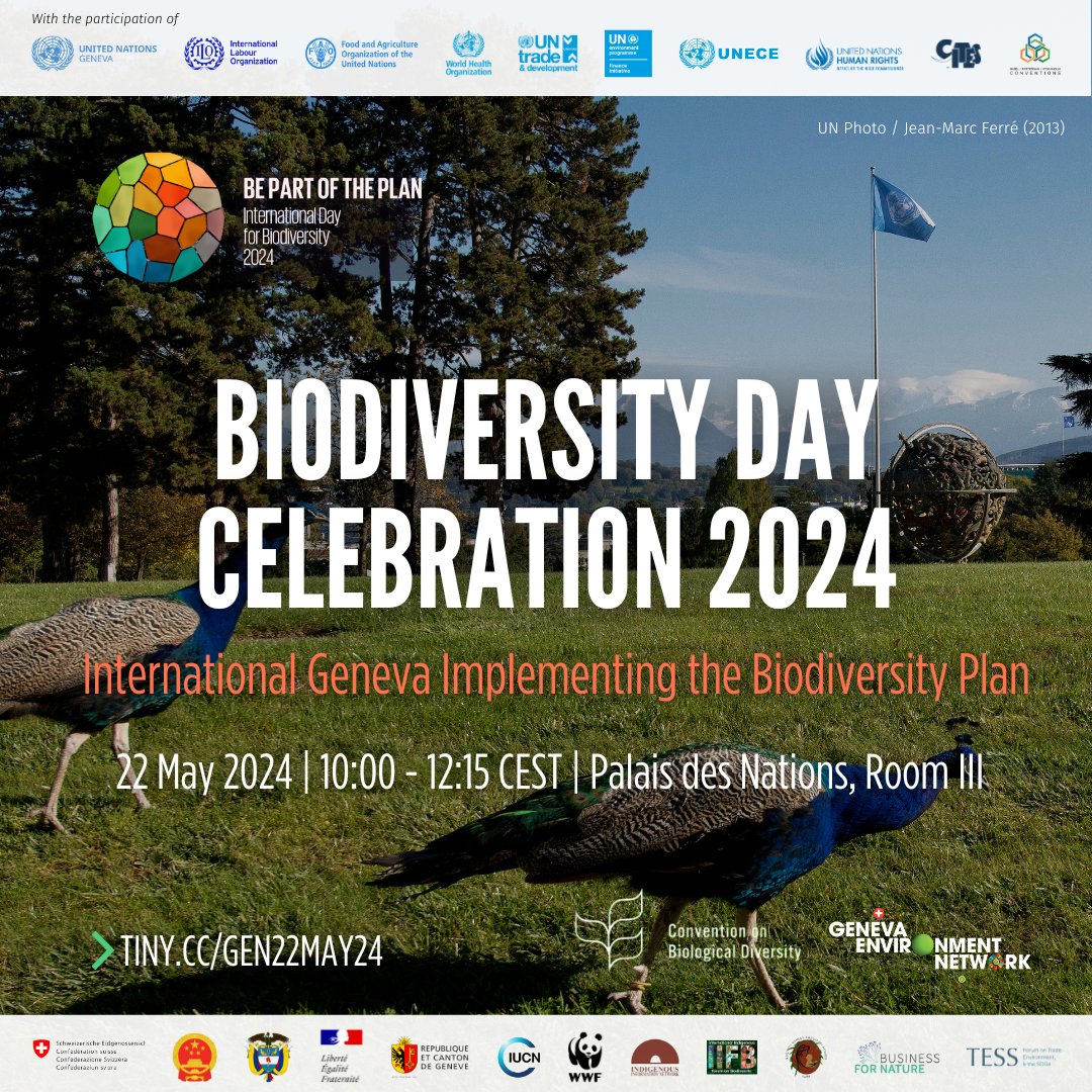 The #GENeva celebration of #BiodiversityDay will spotlight Int'l Geneva's contributions to the #BiodiversityPlan. To welcome all, join us for the opening Indigenous chants and light breakfast before the event! 📅 22 May, 10:00 CEST, Palais des Nations ▶️ tiny.cc/GEN22May24