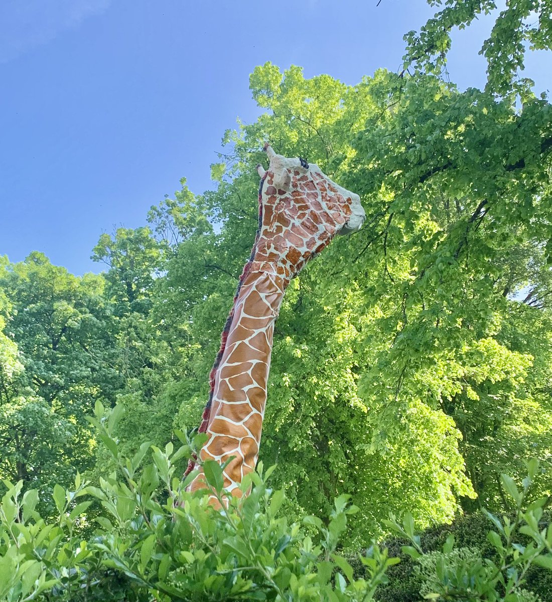 He is back home after hibernating over the winter. My handmade giraffe called Kelvin. Ready for the Scottish summer.