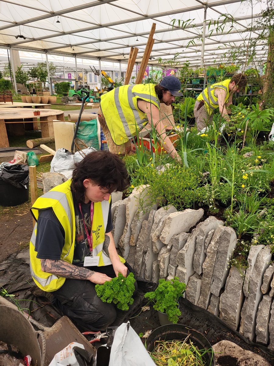 Bangor University (@bangoruni) on Twitter photo Congratulations to the <a href="/sizeofwales/">Size of Wales | Maint Cymru</a> & Studio Bristow on their Gold and 'Best in Category' Awards! 🎉🥇
Staff from <a href="/TreborthBG/">Treborth Botanic Garden</a> & #BangorUniversity students have been hard at work helping to put together an awe-inspiring garden for the <a href="/The_RHS/">The RHS</a> #RHSChelsea Flower Show!
🧵👇 Congratulations to the <a href="/sizeofwales/">Size of Wales | Maint Cymru</a> & Studio Bristow on their Gold and 'Best in Category' Awards! 🎉🥇
Staff from <a href="/TreborthBG/">Treborth Botanic Garden</a> & #BangorUniversity students have been hard at work helping to put together an awe-inspiring garden for the <a href="/The_RHS/">The RHS</a> #RHSChelsea Flower Show!
🧵👇