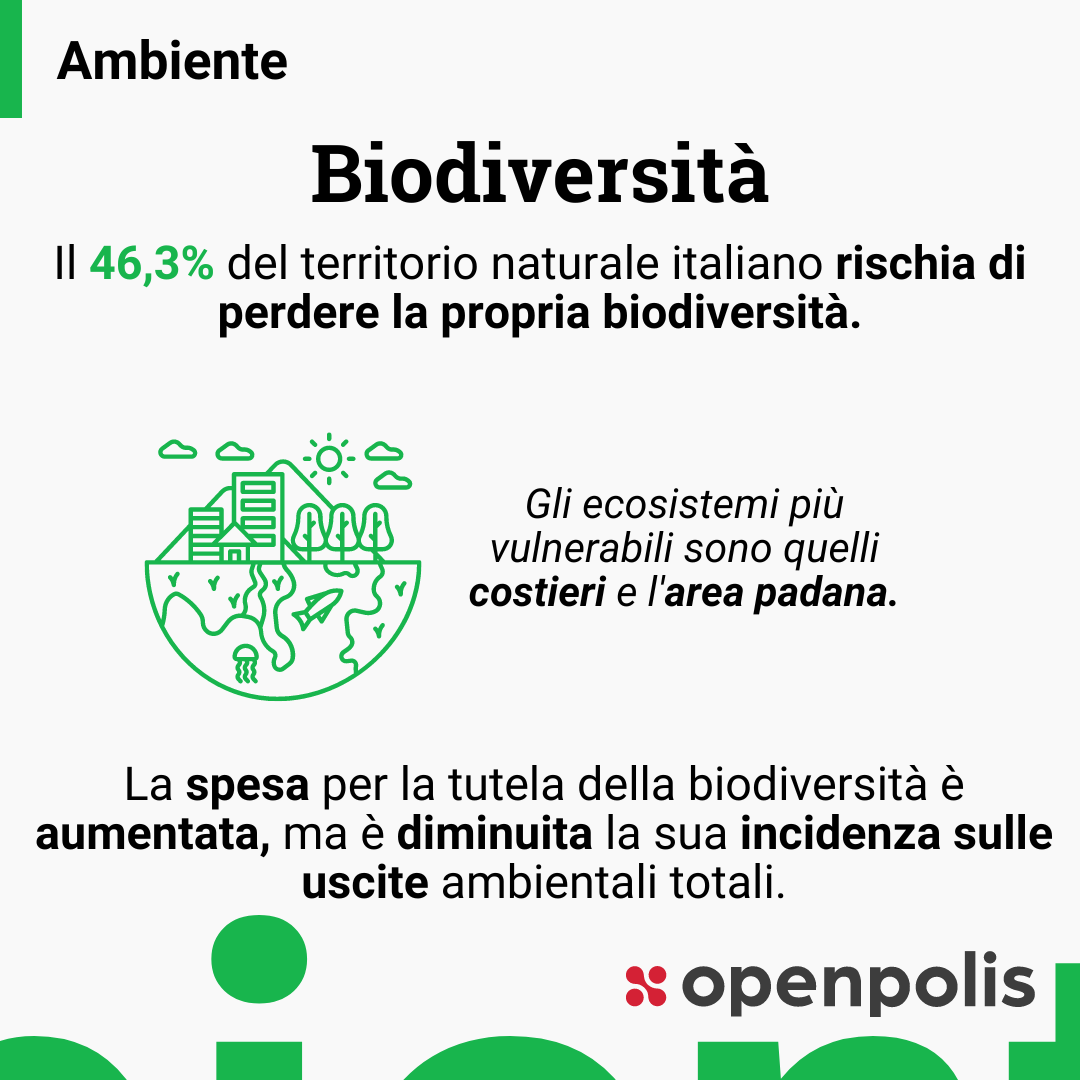 È importante tutelare la biodiversità, un bene fondamentale per la vita sulla terra. Oggi quasi metà del territorio italiano rischia di perderla. openpolis.it/in-italia-la-b…