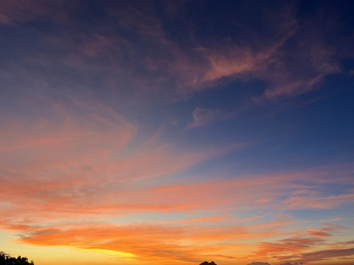 AnitaBacha's tweet image. Searching the peach clouds 
#Cache of the Moon we find  -
In evening twilight 
We sleep in the wild #bower 
Lulled by snug #breeze of flower 

#vss365
#WriteMap 
#inkMine  #haiku #tanka 

🌄my capture