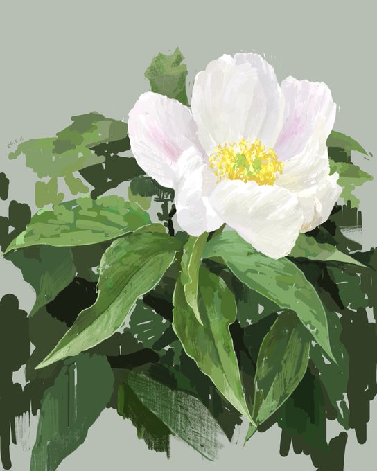 「artist name white flower」 illustration images(Latest)